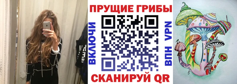 Купить закладки  Горняк  Галлюциногенные грибы Cubensis 